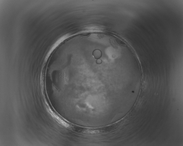 X0000085251243200703161244