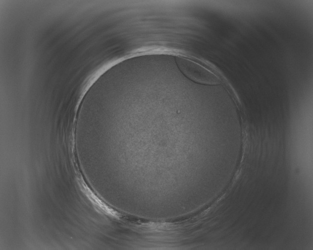 X0000085251244200703161244