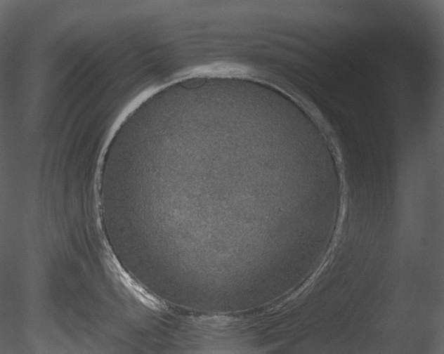 X0000085251248200703161244