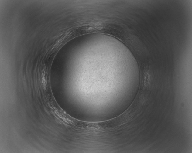 X0000085251250200703161243