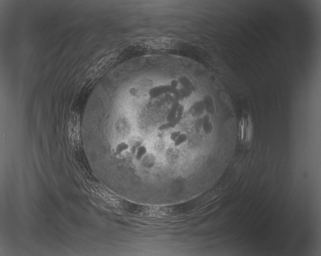 X0000085251251200703161243