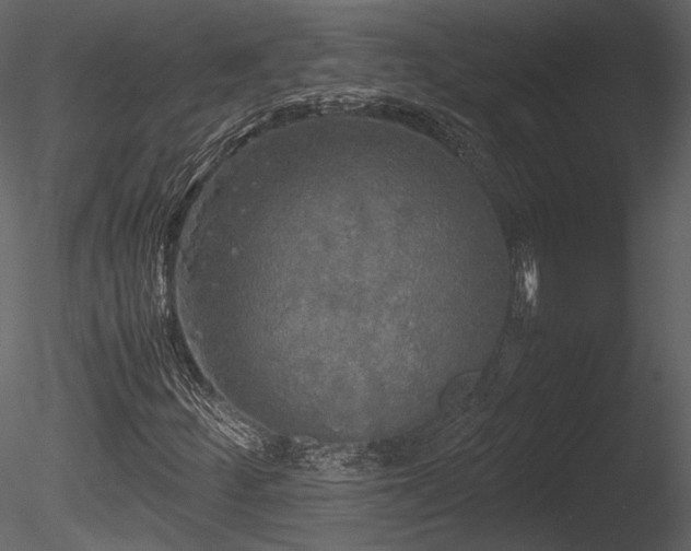 X0000085251252200703161243