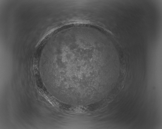 X0000085251255200703161243