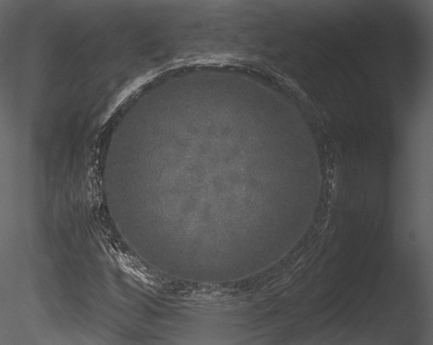 X0000085251256200703161243