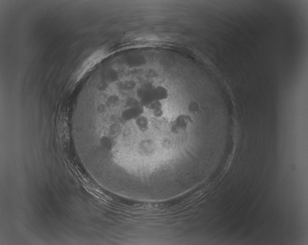 X0000085251259200703161243