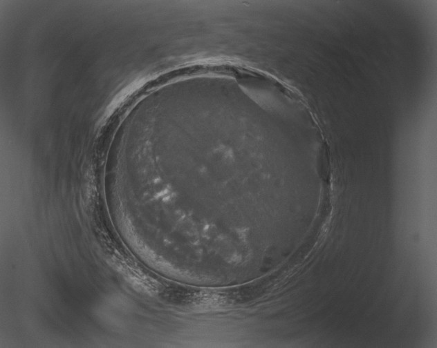 X0000085251263200703161243