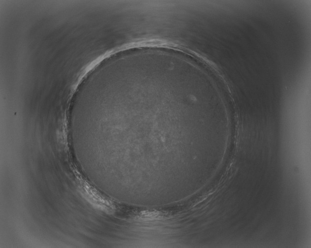 X0000085251264200703161243