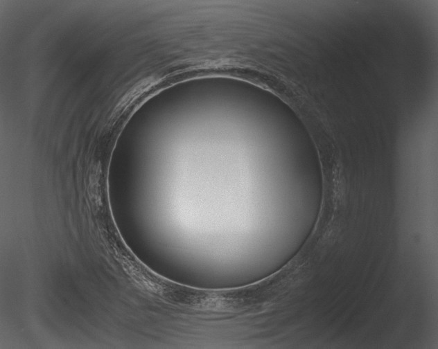 X0000085251265200703161243