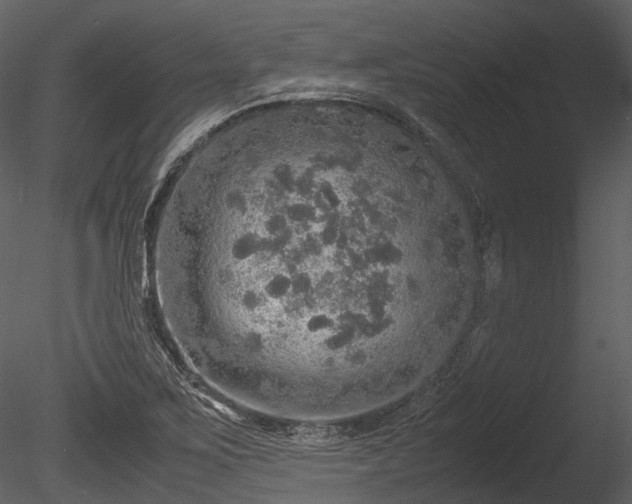 X0000085251267200703161243