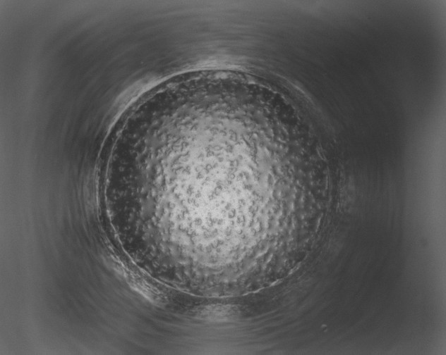 X0000085251268200703161243