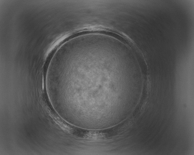 X0000085251269200703161243