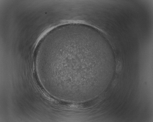 X0000085251271200703161243