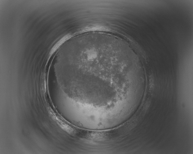 X0000085251274200703161242