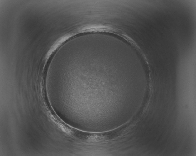 X0000085251277200703161242