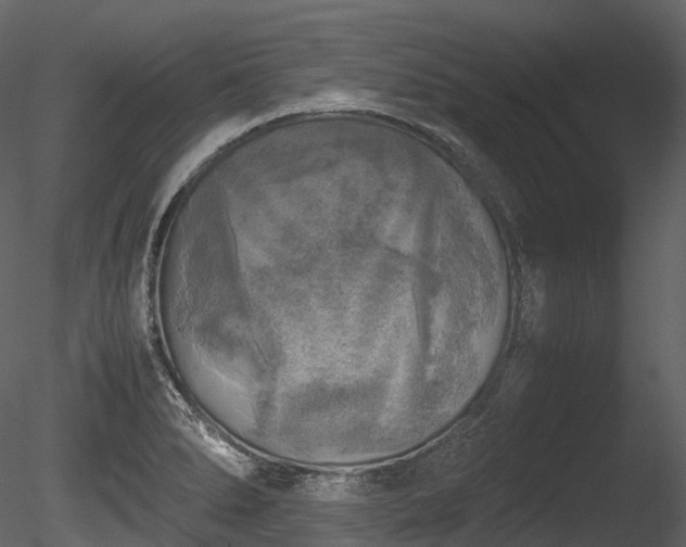 X0000085251278200703161242