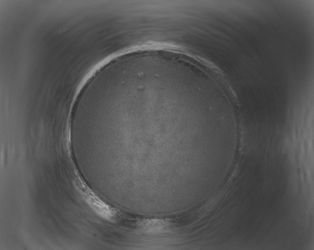 X0000085251280200703161242