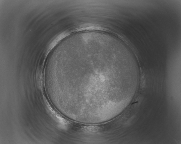 X0000085251282200703161242