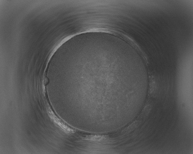 X0000085251284200703161242