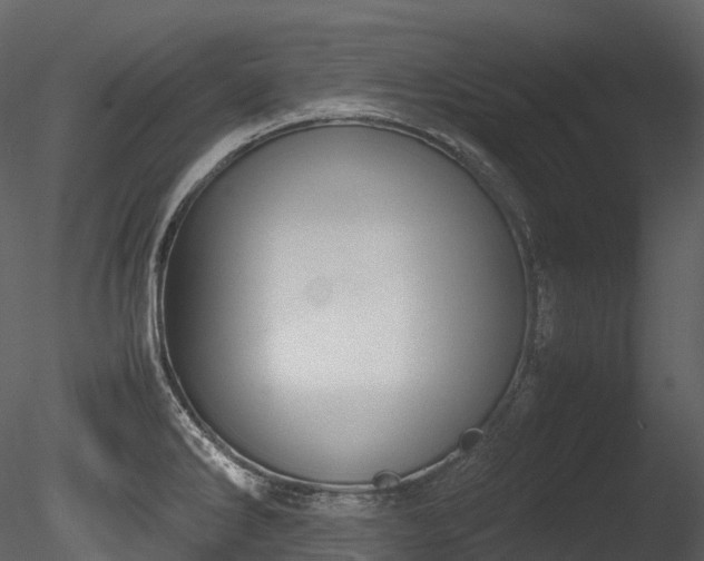 X0000085251286200703161242