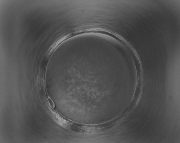 X0000085251289200703161242