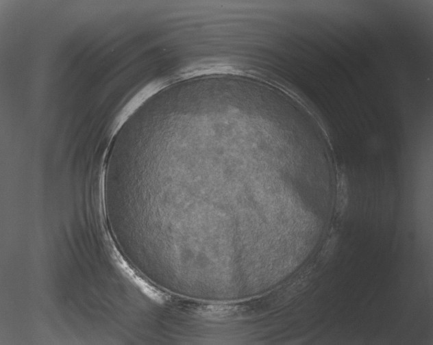 X0000085251290200703161242