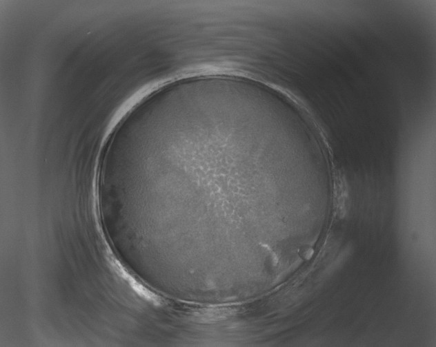 X0000085251294200703161242