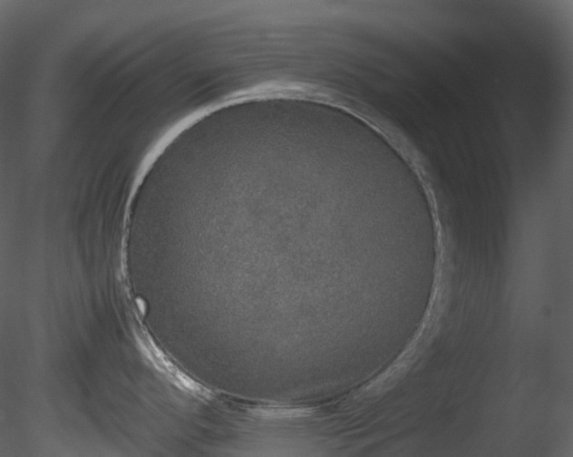 X0000085251296200703161242