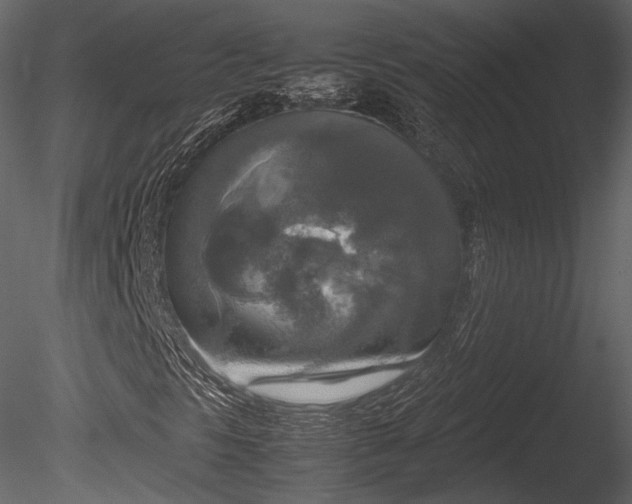 X0000085251297200703161241