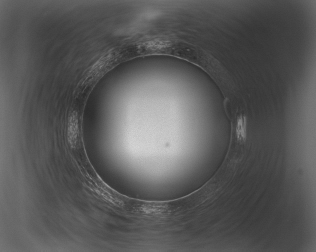 X0000085251299200703161241