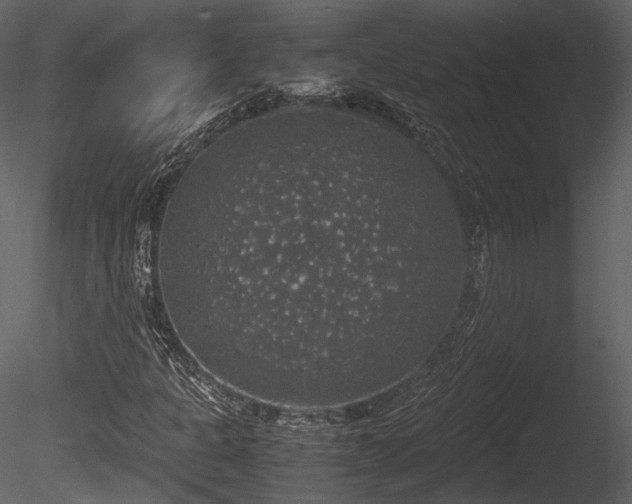 X0000085251301200703161241