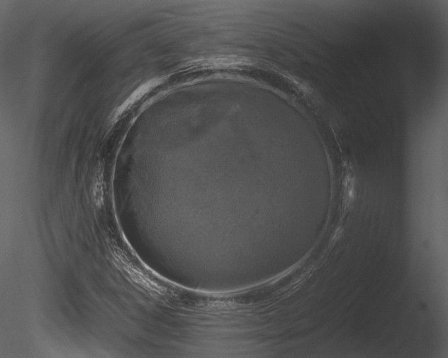 X0000085251306200703161241