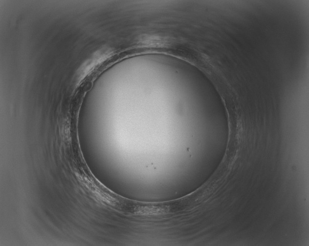 X0000085251307200703161241