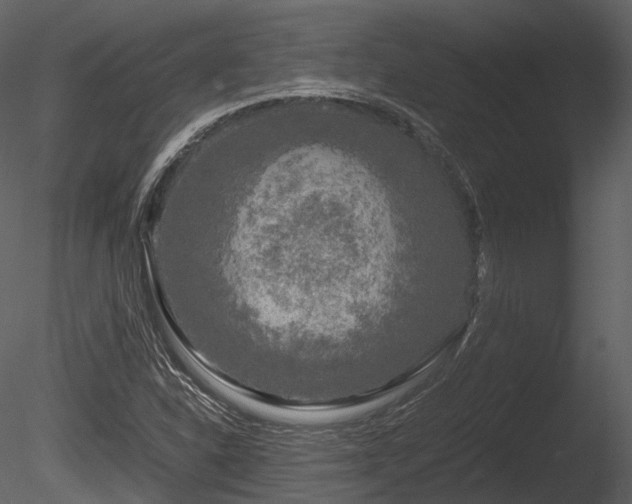 X0000085251310200703161241