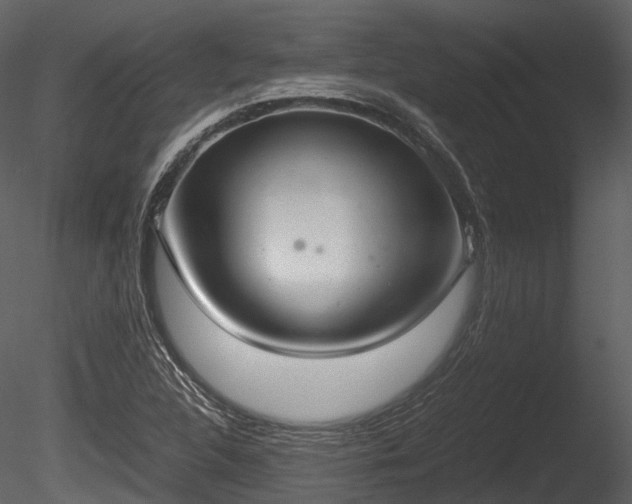 X0000085251312200703161241