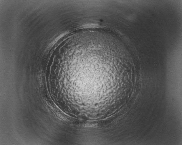 X0000085251313200703161242