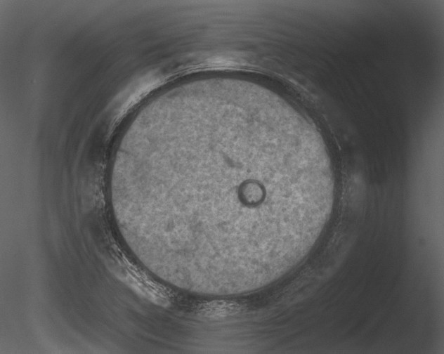 X0000085251314200703161242