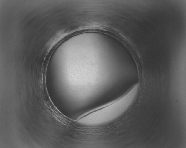 X0000085251316200703161242