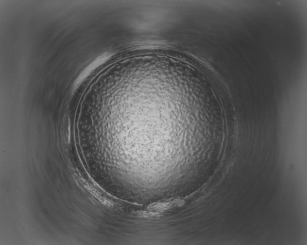 X0000085251317200703161242