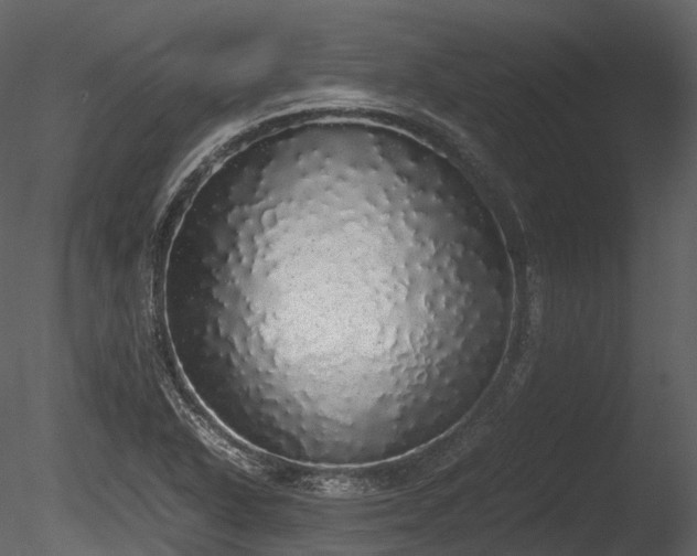 X0000085251318200703161242