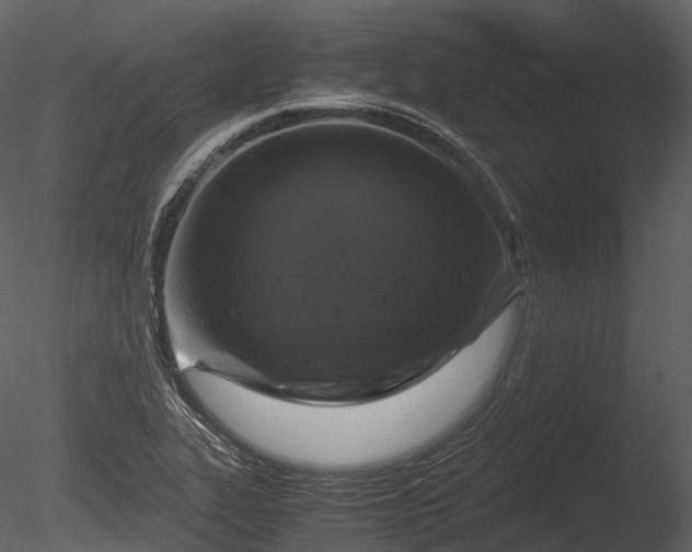 X0000085251319200703161242