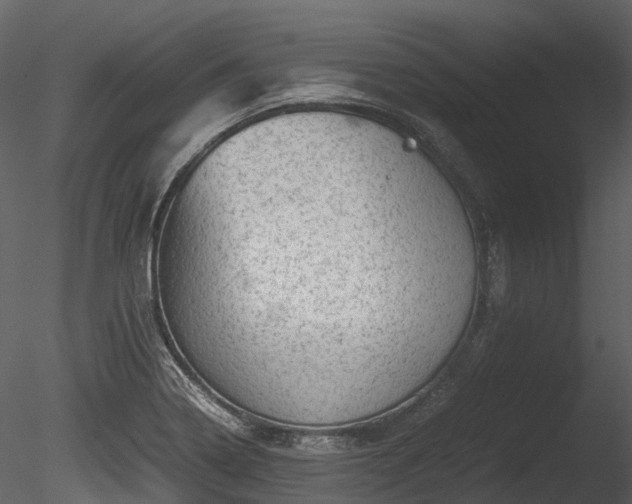 X0000085251322200703161242