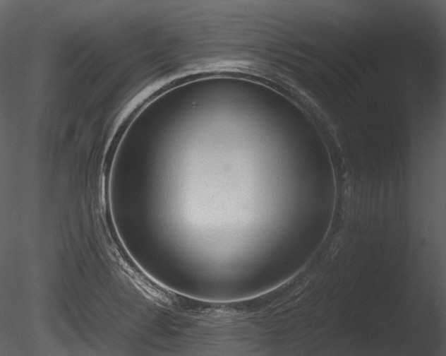 X0000085251324200703161242