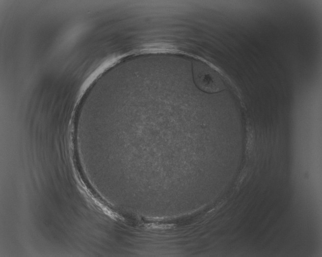 X0000085251325200703161242