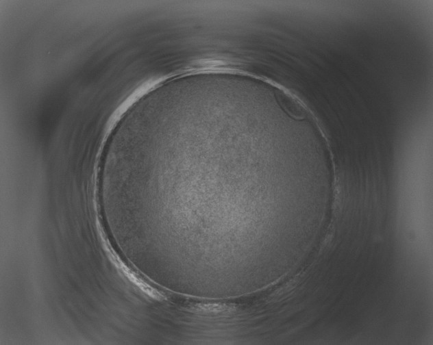 X0000085251333200703161242