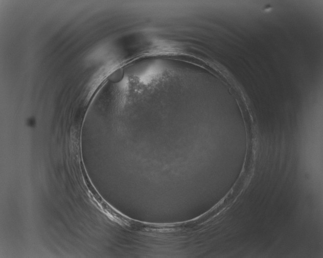 X0000085251337200703161242