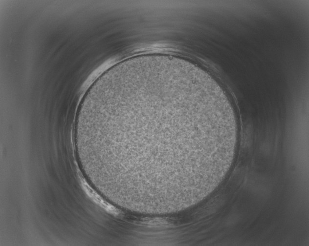 X0000085251338200703161242