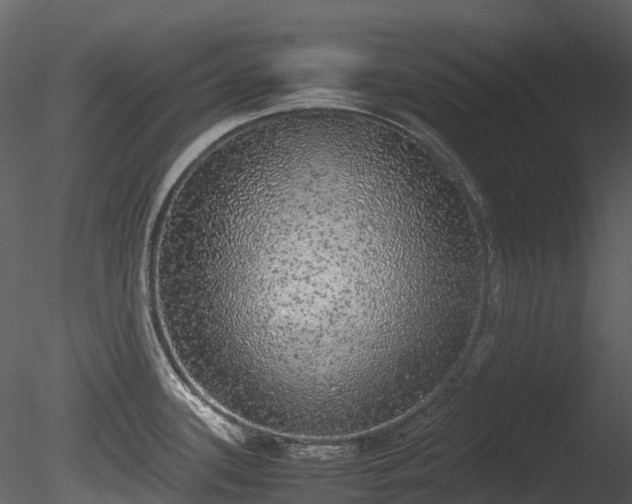 X0000085251339200703161242