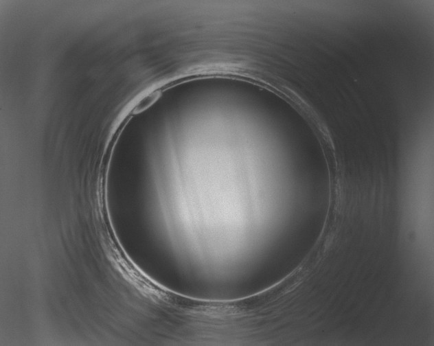 X0000085251340200703161242