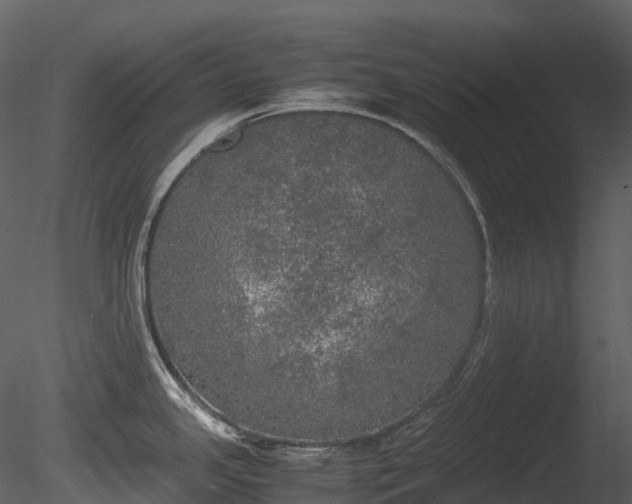 X0000085251341200703161242