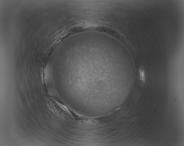 X0000085251348200703161241